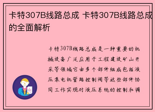 卡特307B线路总成 卡特307B线路总成的全面解析