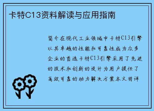 卡特C13资料解读与应用指南